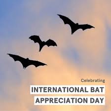 3 bats flying in the sky plus celebrating international bat appreciation day