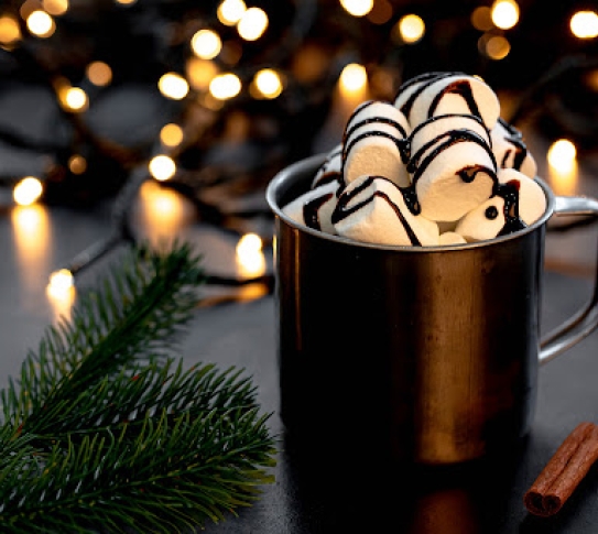 mug of hot cocoa with marshmallows in front of winter twinkle lights and evergreen branch