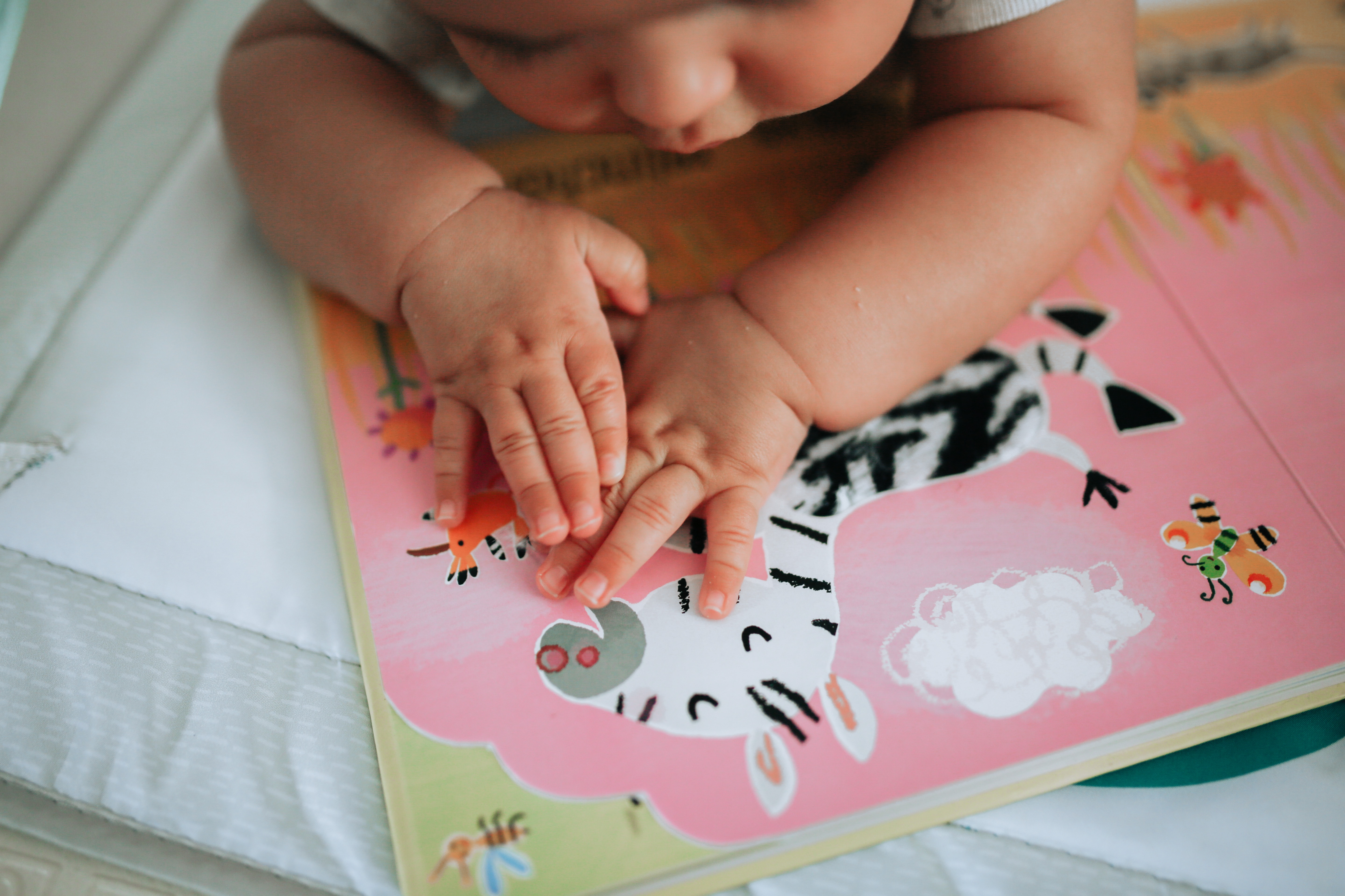 baby holding board book