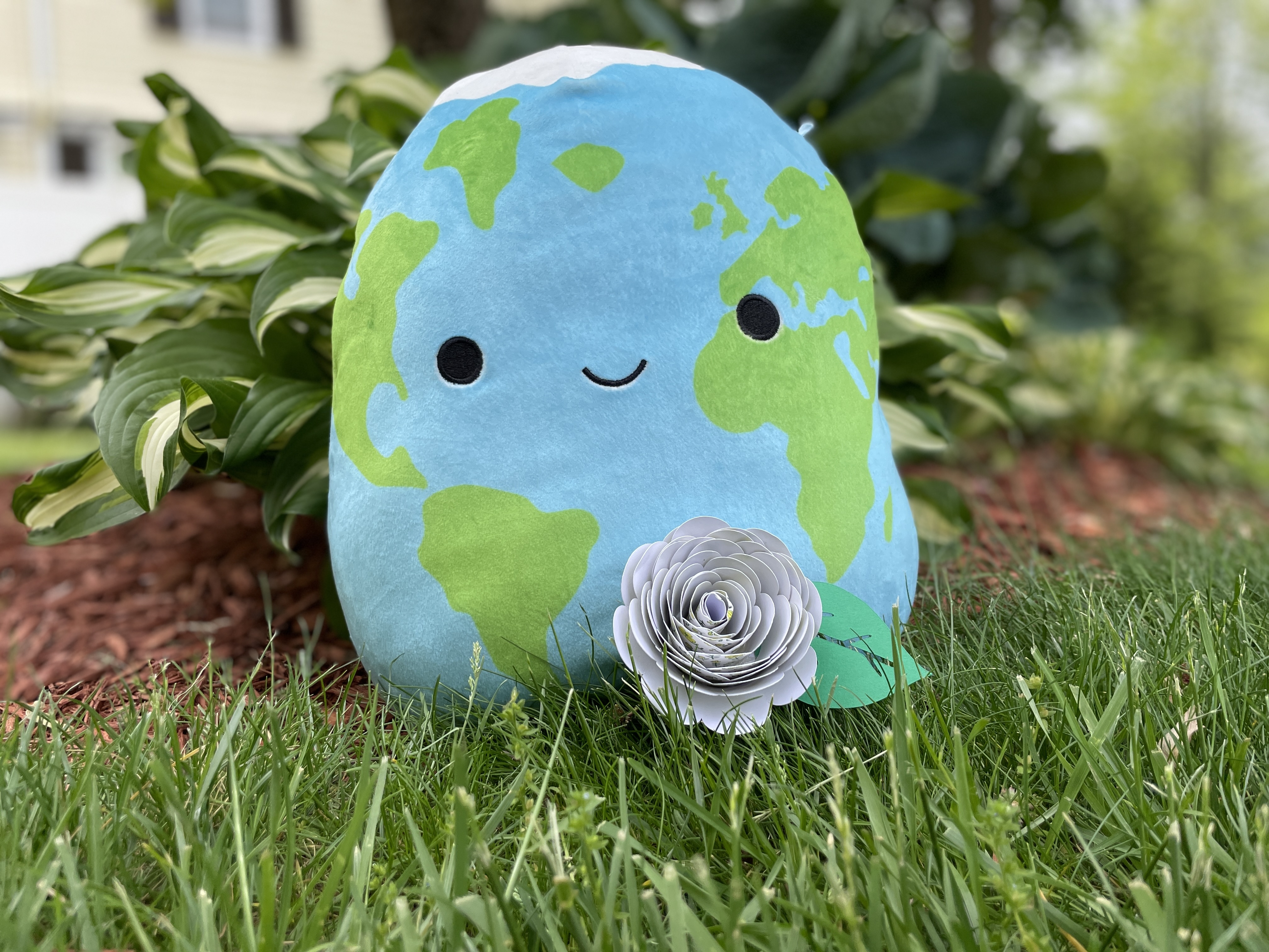 The earth in the garden