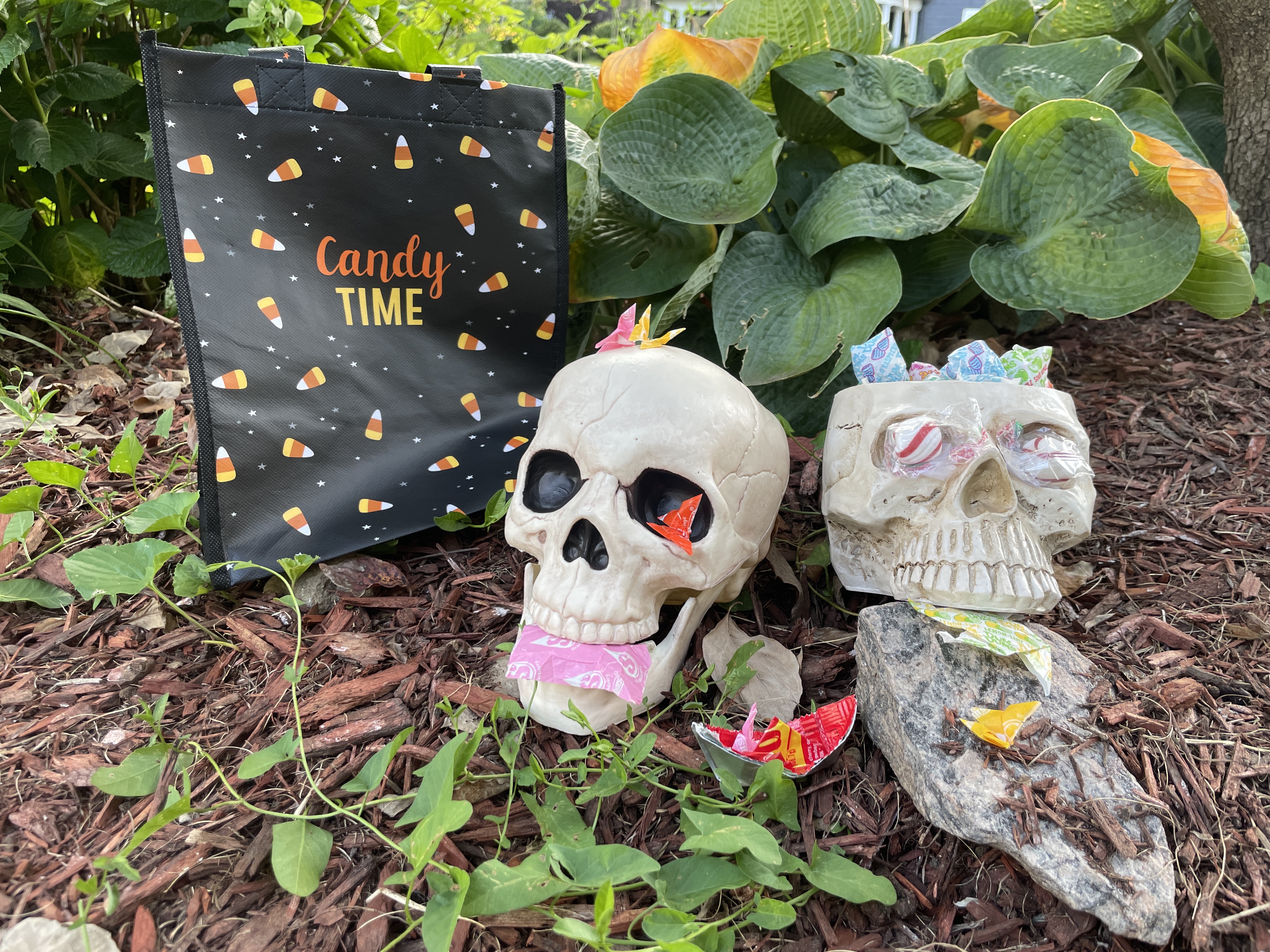 Image of candy and skulls