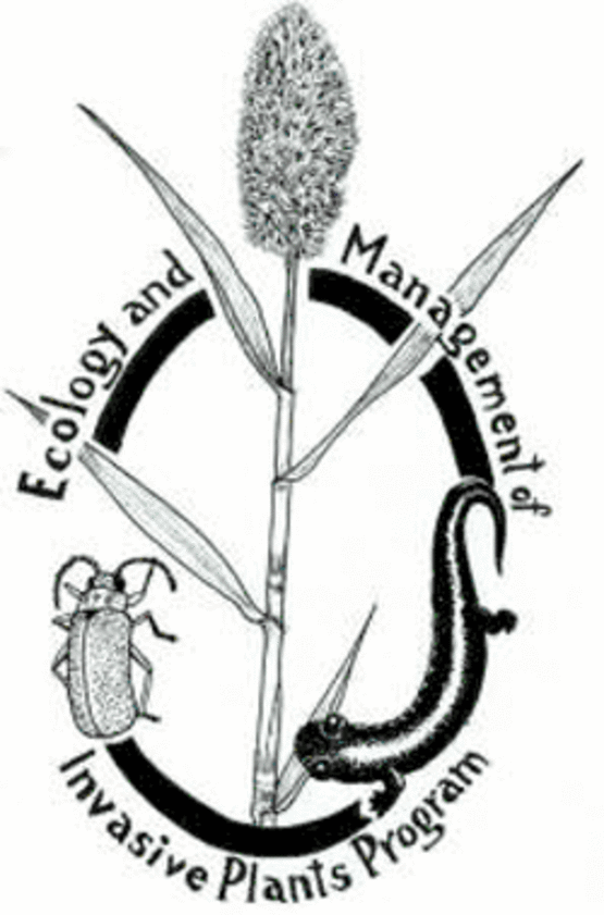 plant stock with bugs and words ecology and management of invasive plants program
