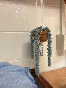 crochet snake plant hanging from a bookshelf