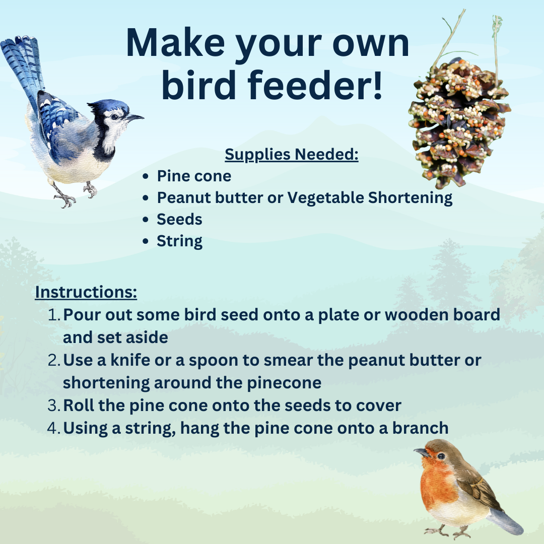 Make your own bird feeder with a pine cone.