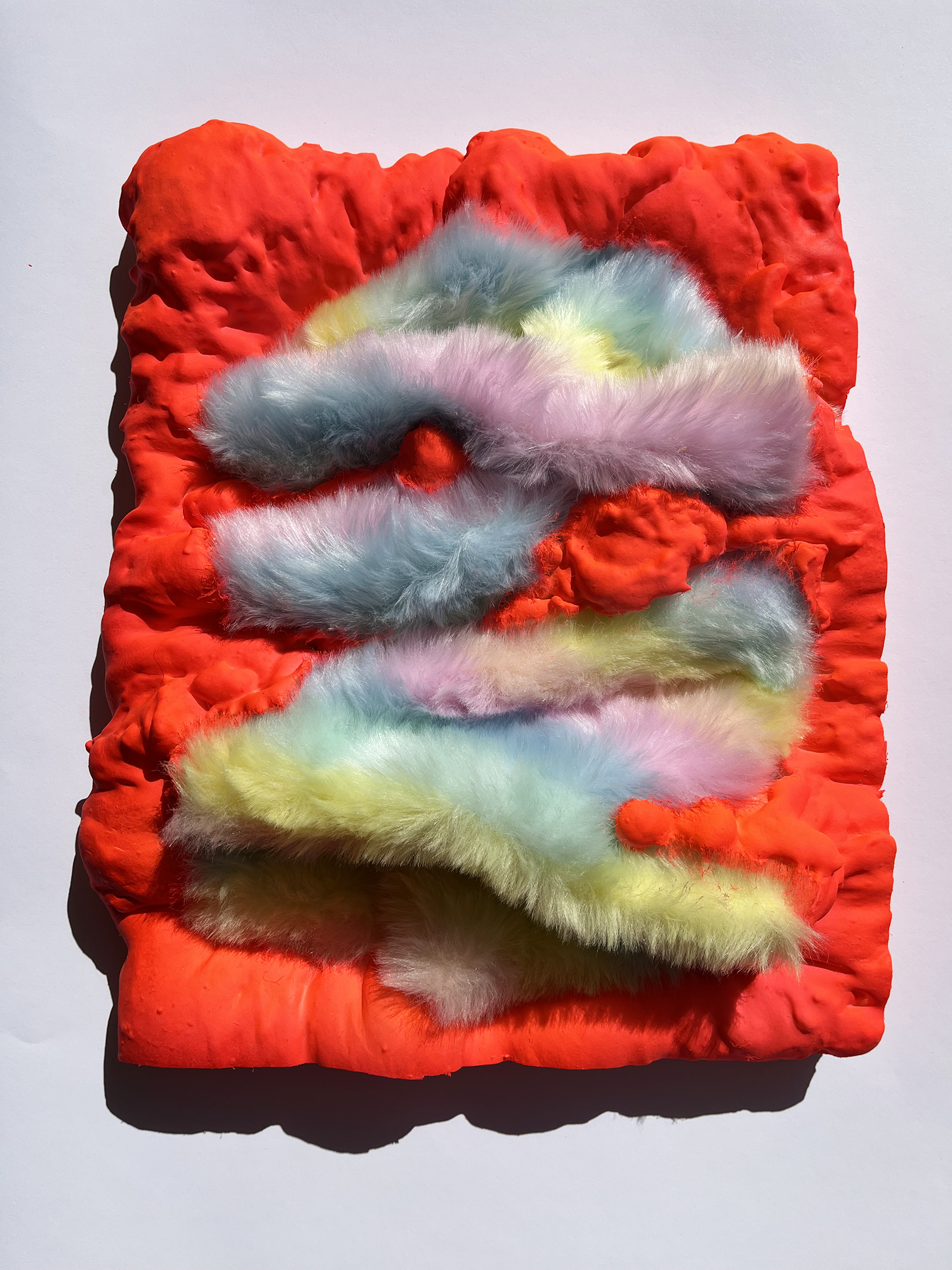 Multicolor wall piece with a furred texture displayed on a white wall