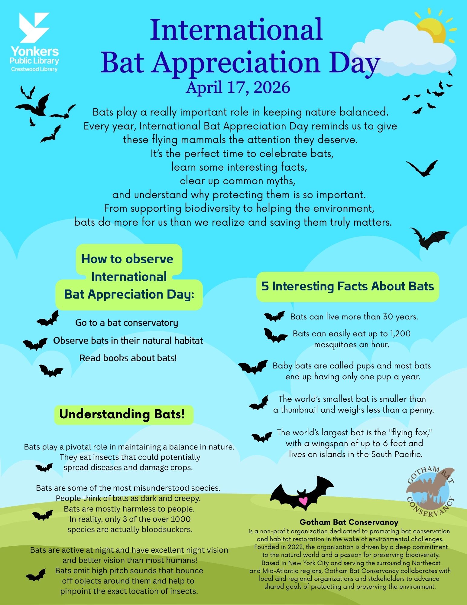 International Bat Appreciation