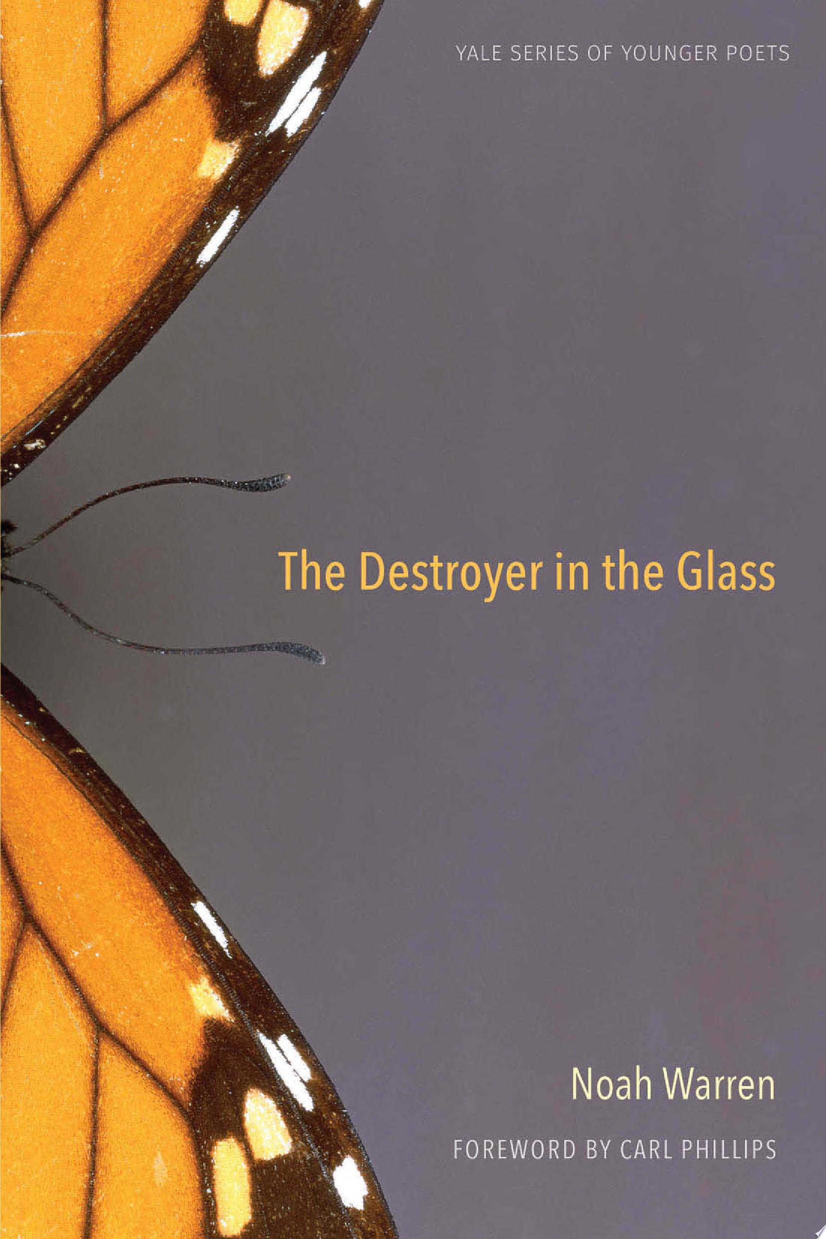 Image for "The Destroyer in the Glass"
