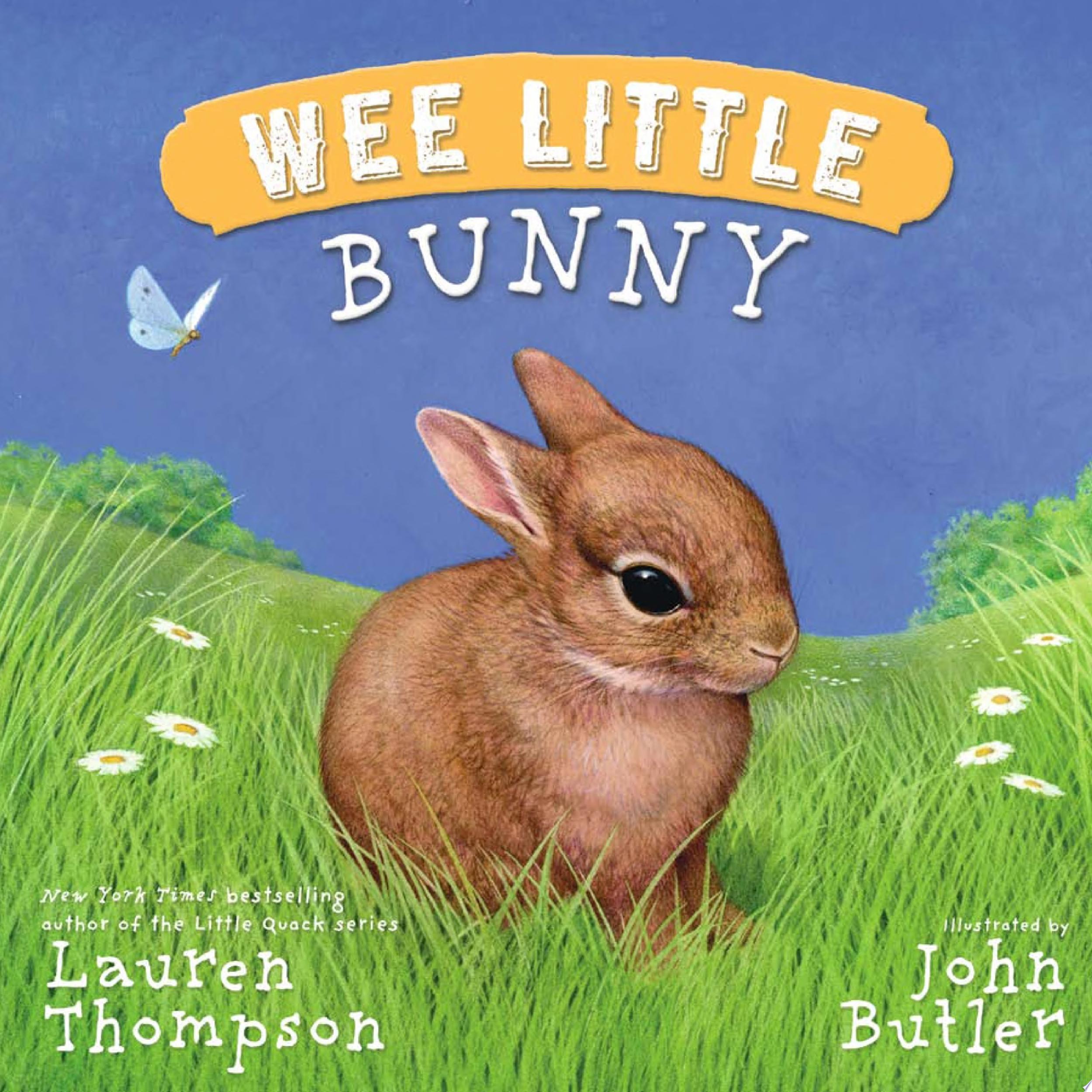 Image for "Wee Little Bunny"
