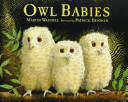 Image for "Owl Babies"