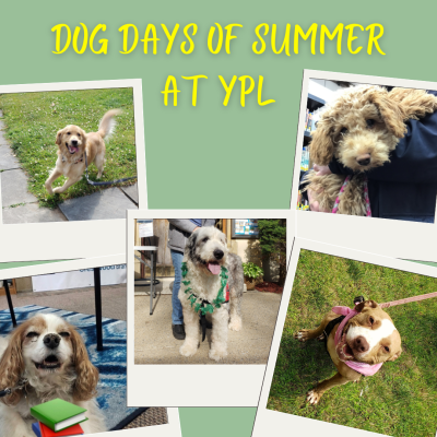 Dog Days of Summer at YPL. Photos of different dogs who visit the Crestwood Branch.