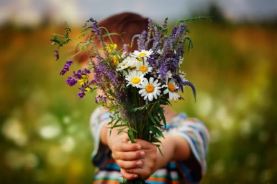 A child in a meadow holds a bouquet of daises and lavender, as if offering the bouquet to the reader. The bouquet covers the child's face.