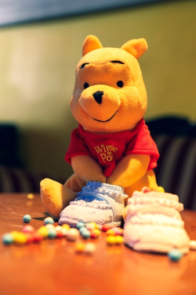 A Winnie the Pooh plushie.