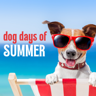 A dog wearing sunglasses is looking over the back of a beach chair. The text reads "dog days of summer".