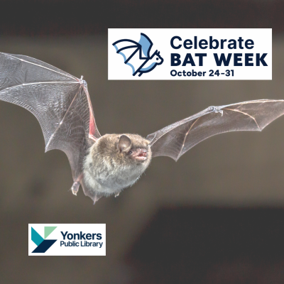 A bat flying in the air with the YPL Logo and the words Celebrate Bat Week, October 24-31.