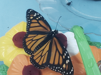 A monarch butterfly on a decorative flower feeder.