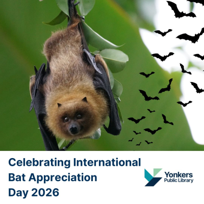 A Brown Bat hanging from a branch.