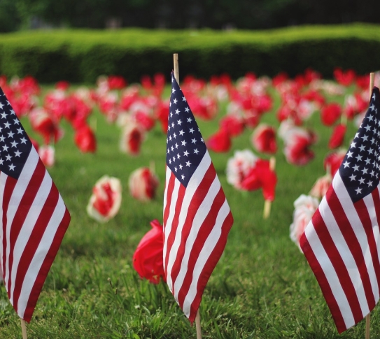 Three American flags are standing in a grass field of handmade poppy flowers.