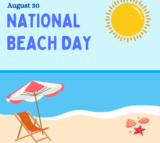 August 30th National Beach Day. A graphic of a sunny day at the beach with seashells on the shore and a lounge chair. 