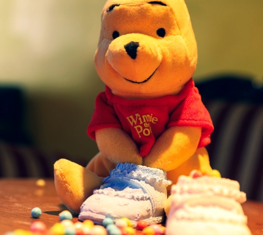 A Winnie the Pooh plushie.