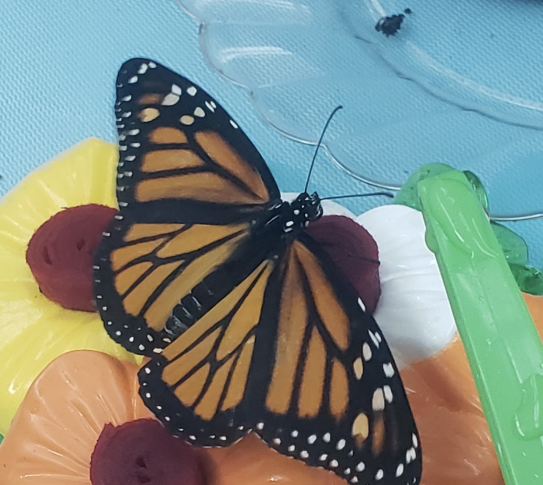 A monarch butterfly on a decorative flower feeder.