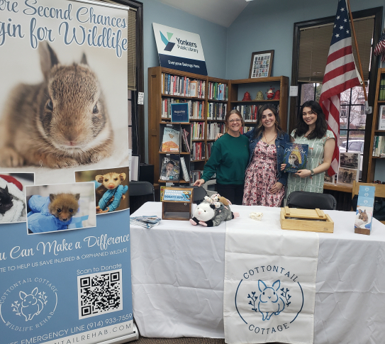 Cottonttail Cottage with Parsley at the Crestwood Library.