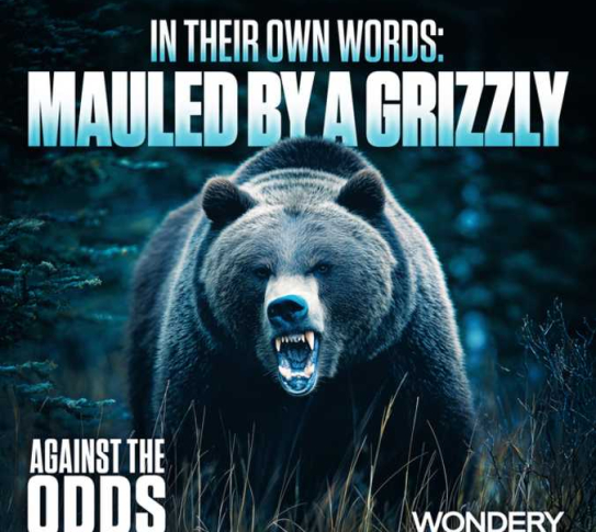 againsttheoddsmauledbyagrizzly