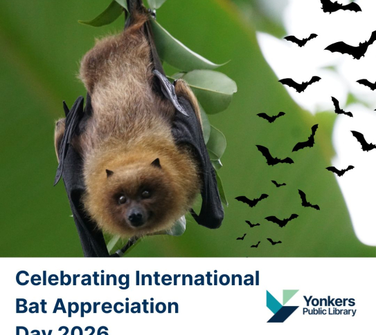 A Brown Bat hanging from a branch.