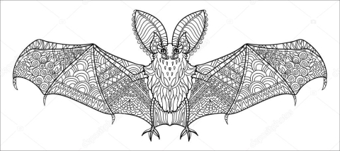 Image of a bat zen tangle drawing