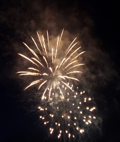 Picture of Fireworks
