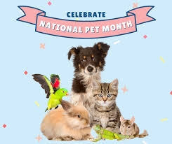 celebrate national pet month with a group of assorted animals