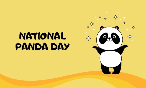 text of "national panda day" with cartoon of panda on yellow background
