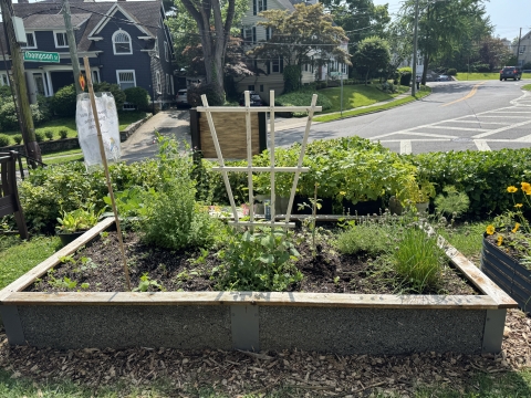 Image of the Raised Bed Garden for conservation