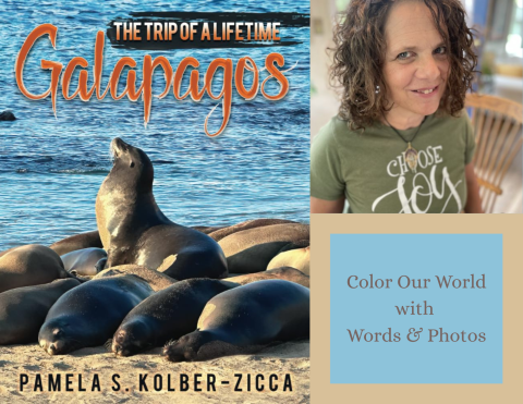 cover of book and author Pam Kolber Zicca