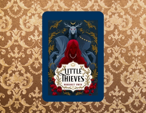book cover for Little Thieves Book by Margaret Owen