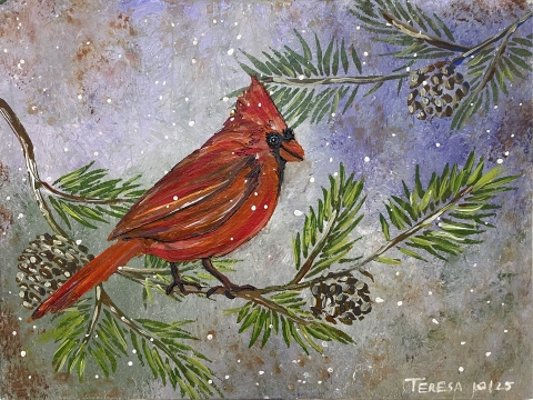 Cardinal on Pine
