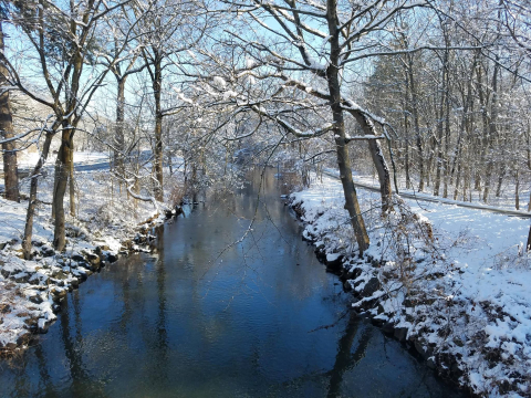 winter scene