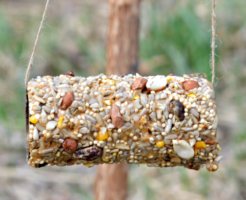 Image of DIY birdfeeder