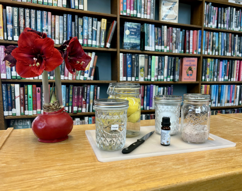 Image of supplies for DIY cleansers