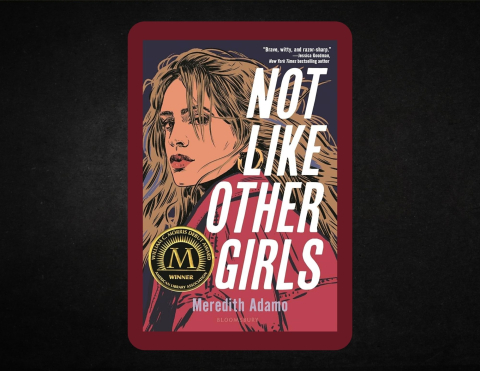 Book cover for Not Like Other Girls by Meredith Adamo.