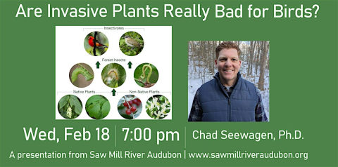 photo of Chad Seewagen, Ph.D., Executive Director, Great Hollow Nature Preserve and Ecological Research Center with photos of invasive plants
