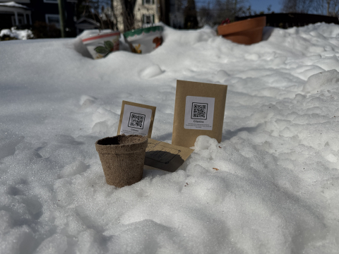 Image of seed packets and peat pot