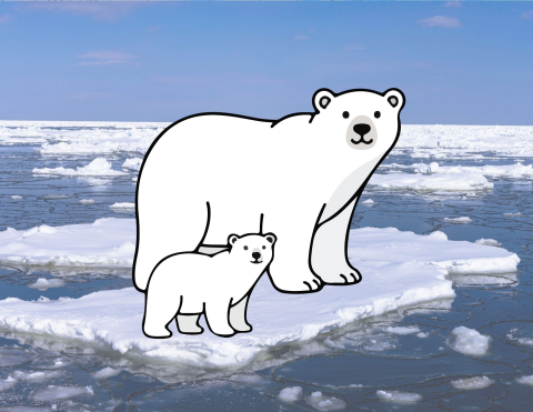 drawing of adult and baby polar bear on ice 