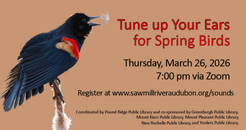 Image of red winged black bird with information about the program