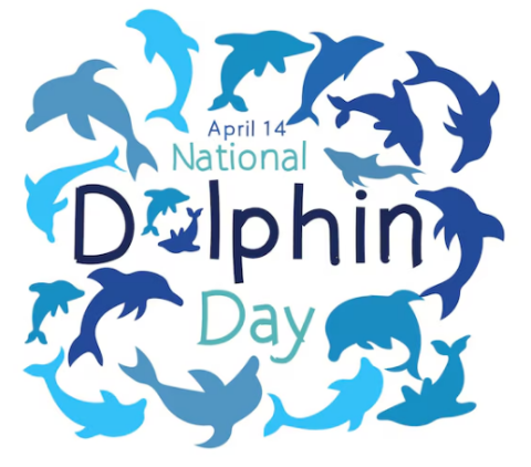 dolphin silhouettes in shades of blue with the text "April 14 National Dolphin Day"