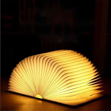 Image of open glowing book