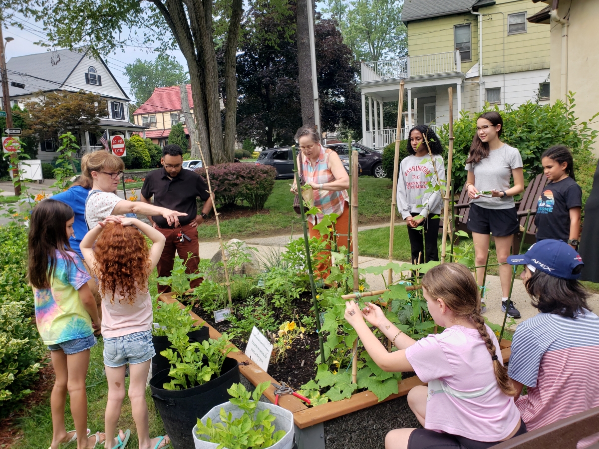 Image of Crestwood patrons harvesting herbs at Crestwood Library raised bed.