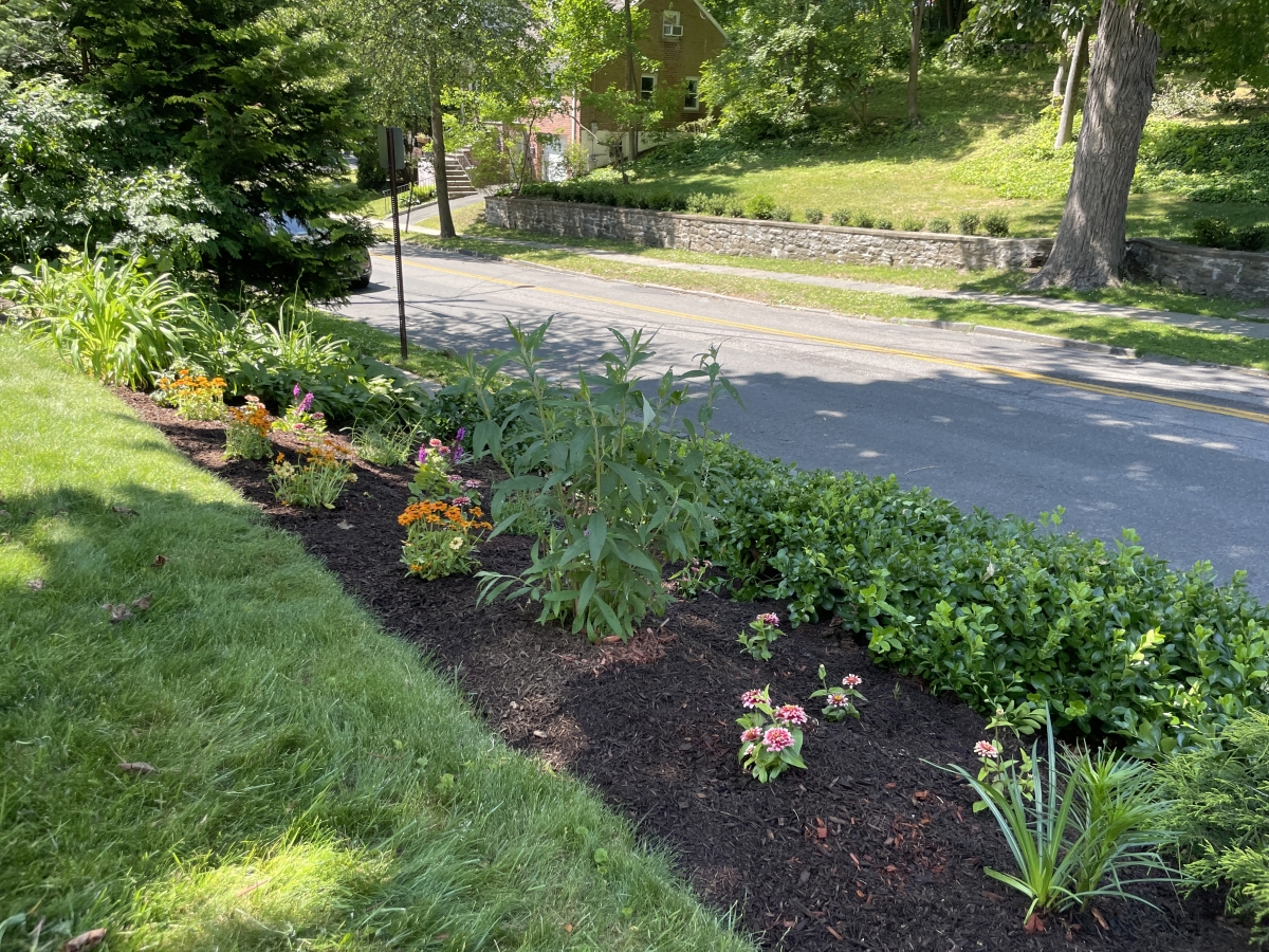 pollinator garden at Crestwood Library