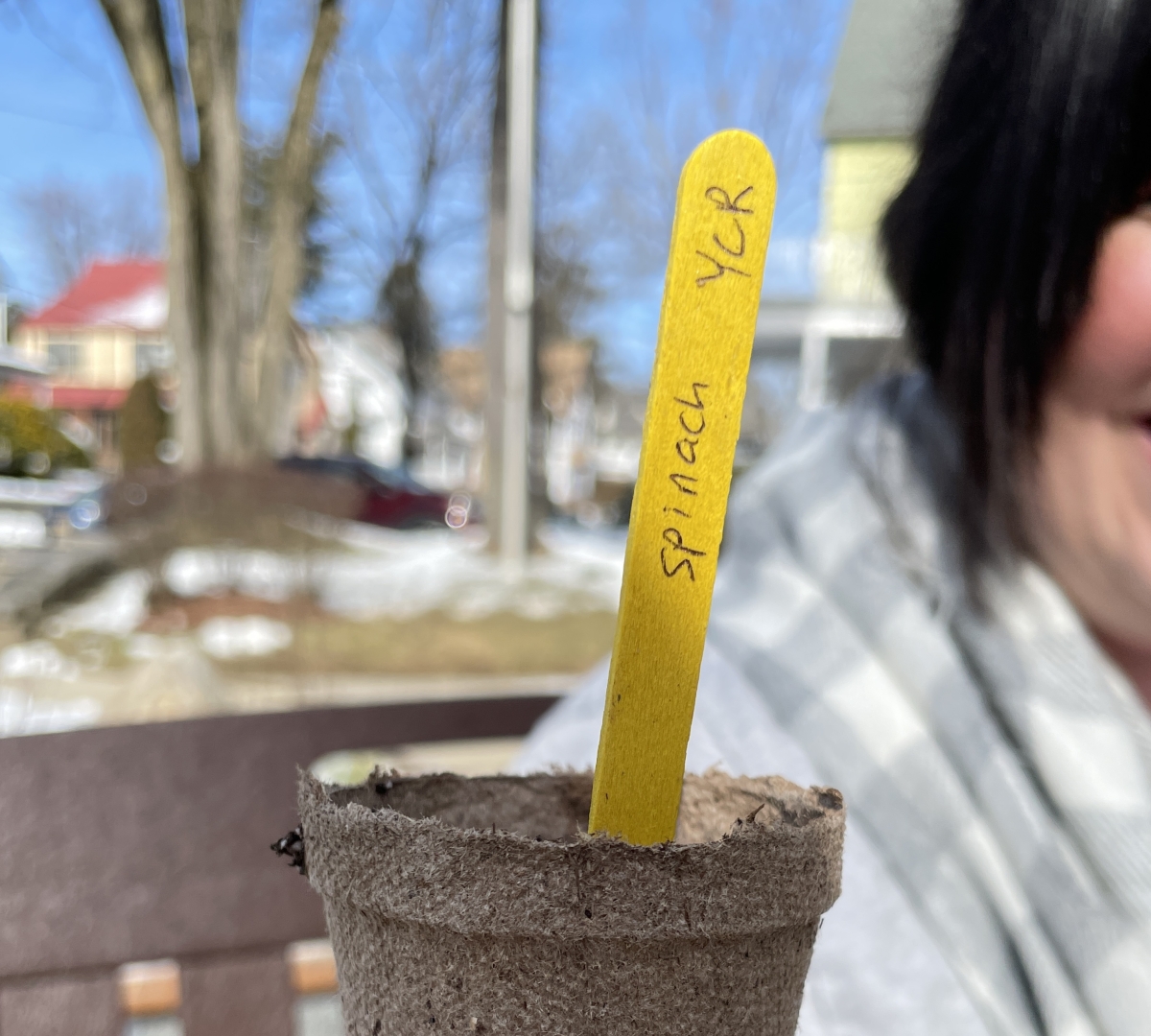 Image of planted seed