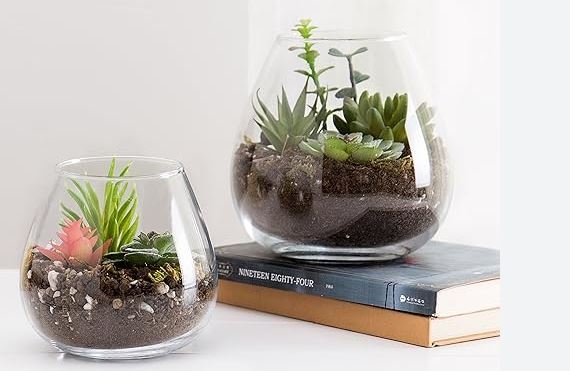 terrarium