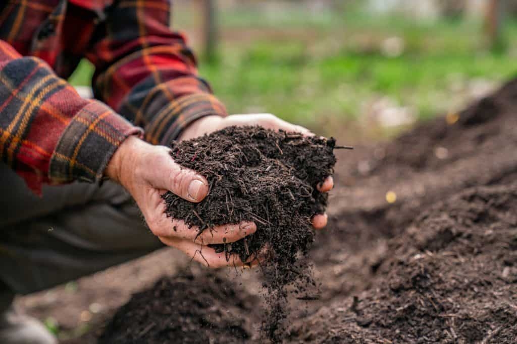 hands in compost